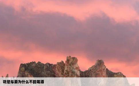 吃晕车要为什么不能喝酒