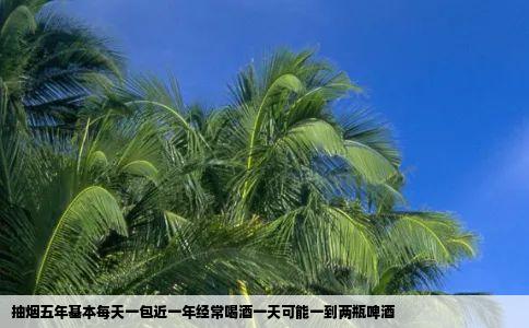 抽烟五年基本每天一包近一年经常喝酒一天可能一到两瓶啤酒