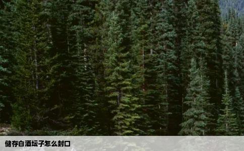 储存白酒坛子怎么封口