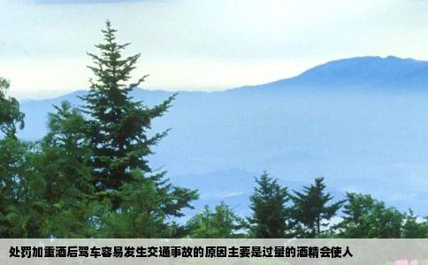 处罚加重酒后驾车容易发生交通事故的原因主要是过量的酒精会使人