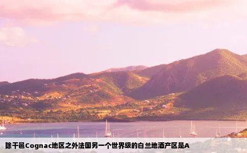 除干邑Cognac地区之外法国另一个世界级的白兰地酒产区是A
