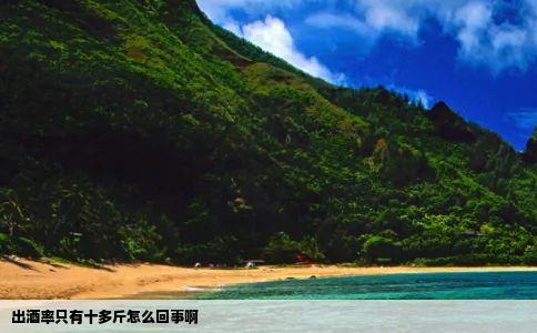 出酒率只有十多斤怎么回事啊