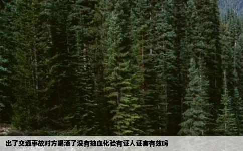 出了交通事故对方喝酒了没有抽血化验有证人证言有效吗