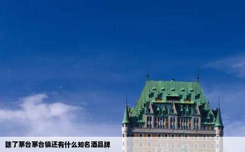 除了茅台茅台镇还有什么知名酒品牌