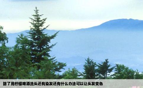除了用柠檬啤酒洗头还有染发还有什么办法可以让头发变色