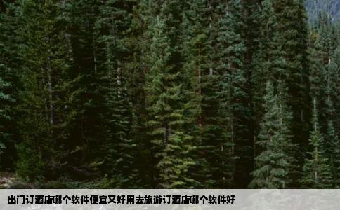 出门订酒店哪个软件便宜又好用去旅游订酒店哪个软件好