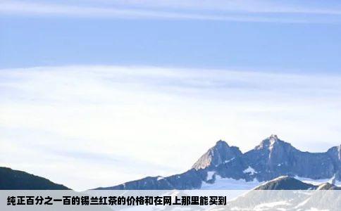 纯正百分之一百的锡兰红茶的价格和在网上那里能买到