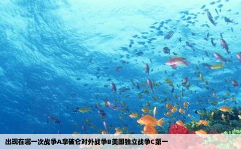 出现在哪一次战争A拿破仑对外战争B美国独立战争C第一