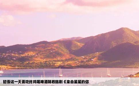 初雪这一天要吃炸鸡喝啤酒随着韩剧《来自星星的你