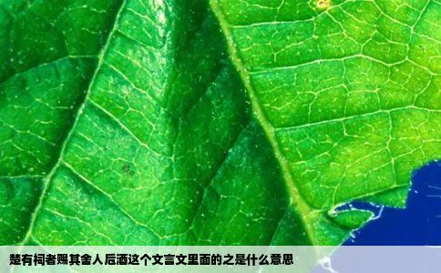 楚有祠者赐其舍人卮酒这个文言文里面的之是什么意思