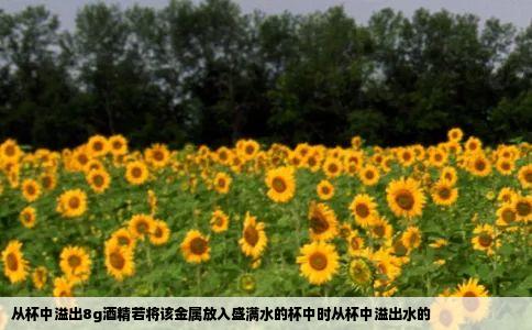 从杯中溢出8g酒精若将该金属放入盛满水的杯中时从杯中溢出水的