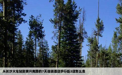 从长沙火车站到黄兴南路的7天连锁酒店步行街2店怎么走
