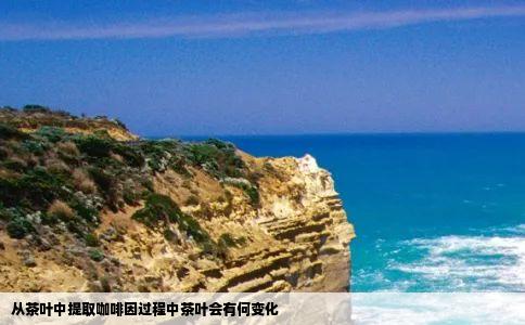 从茶叶中提取咖啡因过程中茶叶会有何变化