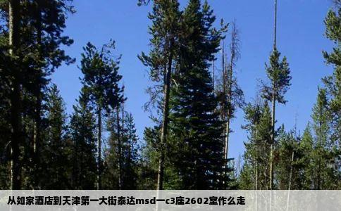 从如家酒店到天津第一大街泰达msd一c3座2602室作么走