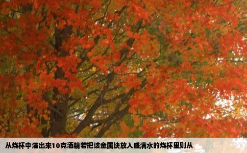 从烧杯中溢出来10克酒精若把该金属块放入盛满水的烧杯里则从