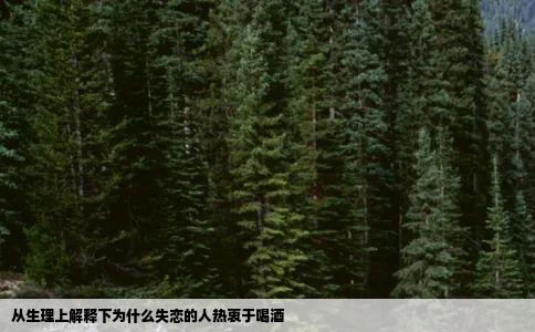 从生理上解释下为什么失恋的人热衷于喝酒