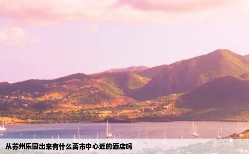 从苏州乐园出来有什么离市中心近的酒店吗