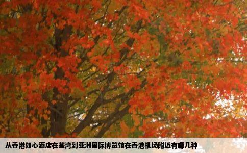 从香港如心酒店在荃湾到亚洲国际博览馆在香港机场附近有哪几种