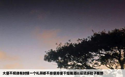 大便不规律有时候一个礼拜都不排便排便干燥喝酒以后还坏肚子腹部