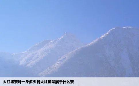 大红袍茶叶一斤多少钱大红袍是属于什么茶