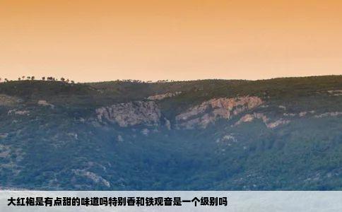 大红袍是有点甜的味道吗特别香和铁观音是一个级别吗