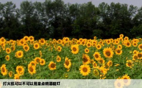 打火机可以不可以用来点燃酒精灯