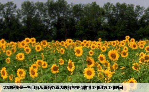 大家好我是一名目前从事商务酒店的前台接待收银工作因为工作时间
