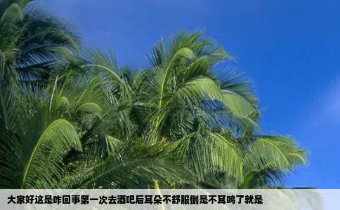 大家好这是咋回事第一次去酒吧后耳朵不舒服倒是不耳鸣了就是