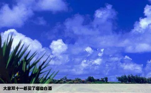 大家双十一都买了哪些白酒