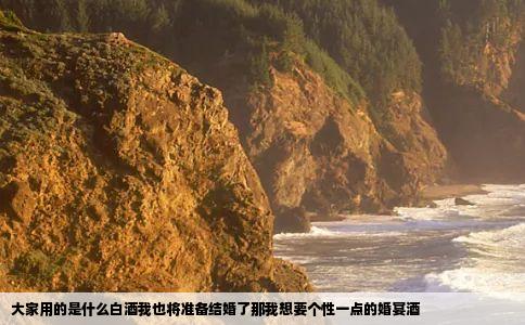 大家用的是什么白酒我也将准备结婚了那我想要个性一点的婚宴酒