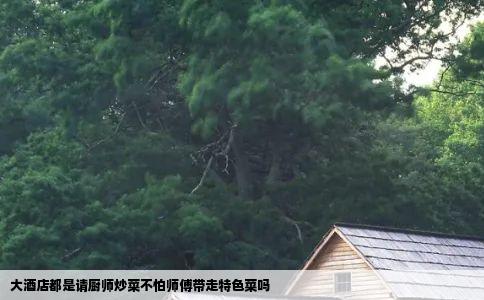 大酒店都是请厨师炒菜不怕师傅带走特色菜吗