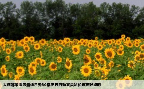 大连哪家酒店最适合办30桌左右的婚宴菜品和设施好点的