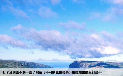 打了耳洞差不多一周了现在可不可以直接带茶叶棍拉如果换耳钉是不