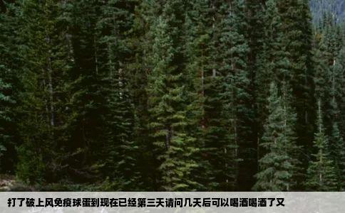 打了破上风免疫球蛋到现在已经第三天请问几天后可以喝酒喝酒了又
