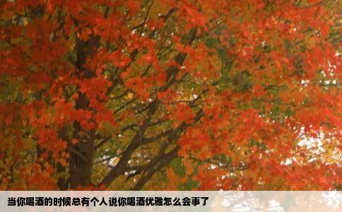 当你喝酒的时候总有个人说你喝酒优雅怎么会事了