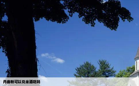 丹叁粉可以兑米酒吃吗