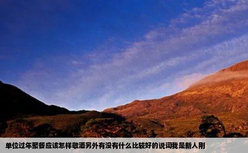 单位过年聚餐应该怎样敬酒另外有没有什么比较好的说词我是新人刚