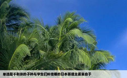 单选题千利休的子孙与学生们所传播的日本茶道主要来自于