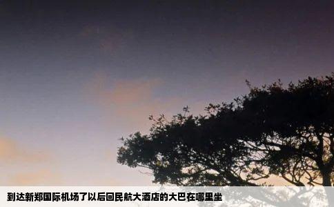 到达新郑国际机场了以后回民航大酒店的大巴在哪里坐