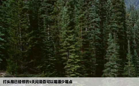 打头孢已经停药5天问是否可以喝酒少喝点