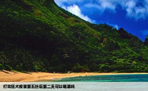 打完狂犬疫苗第五针后第二天可以喝酒吗