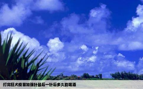 打完狂犬疫苗加强针最后一针后多久能喝酒