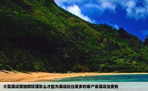大型酒店营销部经理怎么才能为酒店拉住更多的客户来酒店消费有