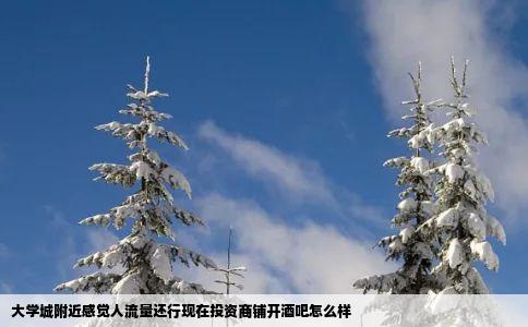 大学城附近感觉人流量还行现在投资商铺开酒吧怎么样