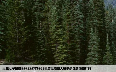 大益七子饼茶8592357克802批普洱熟茶大概多少钱勐海茶厂的