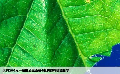 大约200元一箱白酒里面装6瓶的都有哪些名字