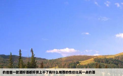 的爸爸一款酒好酒都好贵上千了有什么推荐的性价比高一点的酒