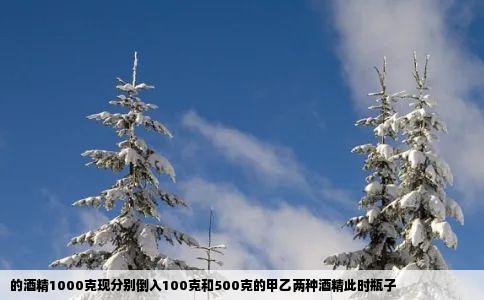 的酒精1000克现分别倒入100克和500克的甲乙两种酒精此时瓶子
