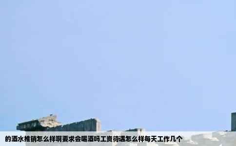 的酒水推销怎么样啊要求会喝酒吗工资待遇怎么样每天工作几个