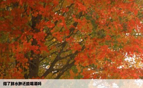 得了肺水肿还能喝酒吗